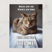 ヴァンレ食べ物を与えン猫私の詩 ポストカード (正面)