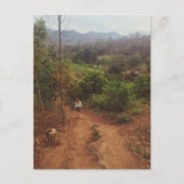 ヴァンヴィエン シーズンポストカード (正面)