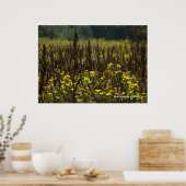 ヴァン・ゴッホIIのワトソンビル・フィールズ ポスター (キッチン)