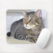 ヴァンHelsing マウスパッド (マウス)