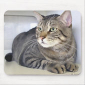 ヴァンHelsing マウスパッド (正面)