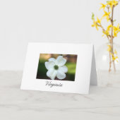 ヴァージニアのミズキ カード (黄色い花)