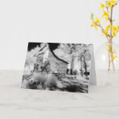 ヴァージニアの古い納屋2挨拶状無し カード (黄色い花)