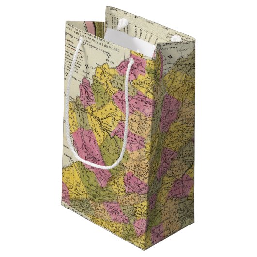 ヴァージニアの新しい地図 スモールペーパーバッグ (裏面アングル)