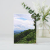 ヴァージニアの景色 ポストカード (スタンド正面)