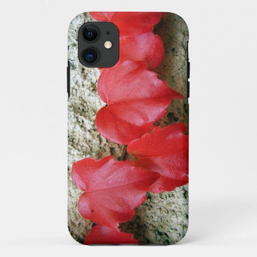 ヴァージニアクリーパーはiPhone SEを去ります+5/5S場合 Case-Mate iPhoneケース (裏面)