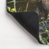 ヴァージニア失ったディアファウンベビー動物野生生物写真 マウスパッド (コーナー)