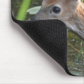 ヴァージニア失ったディアファウンベビー動物野生生物写真 マウスパッド (コーナー)