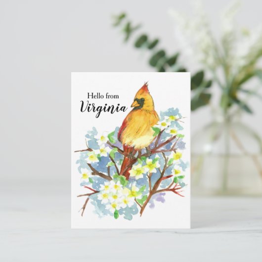 ヴァージニア女性(鳥)ショウジョウコウカンチョウドッグウッドから ポストカード (スタンド正面)