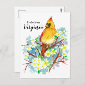 ヴァージニア女性(鳥)ショウジョウコウカンチョウドッグウッドから ポストカード (正面/裏面)