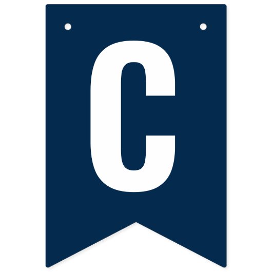 ヴァージニア・カヴァリエース卒業生 バンティングフラッグ (第2の旗)