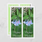 ヴァージニアBLUEBELLSのしおり ポストカード (正面/裏面)