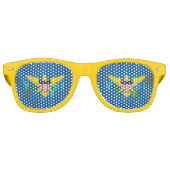 ヴァージンアイランダーコート・オブ・アームズ レトロサングラス (正面)