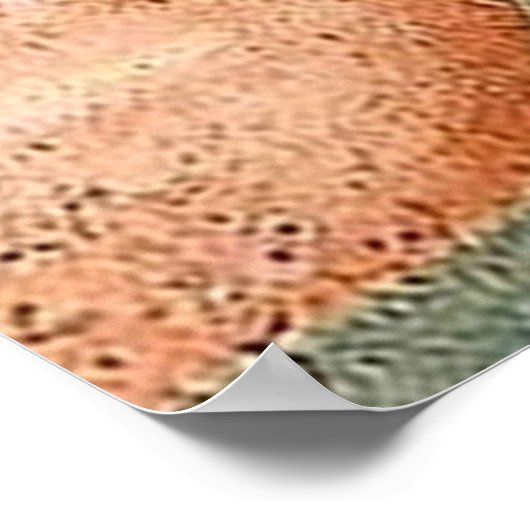 ヴァージンメアリーウマチューマンアヴェミアウォレスパルプフィクト ポスター (角)