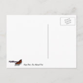 ヴァージンリバー春アットジオン国立公園 ポストカード (裏面)