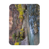 ヴァージン川の秋のシオン国立公園 マグネット (縦)