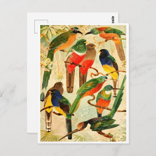 ヴァージン林からウドゥ、スールキュア、アリアンバス ポストカード (正面/裏面)