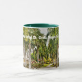 ヴァージン諸島セントクロワフレデリックUSVI熱帯地方 マグカップ (中央)