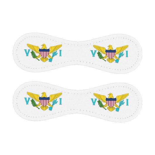 ヴァージン諸島国旗を持つ愛国野球 野球ボール (パネル)