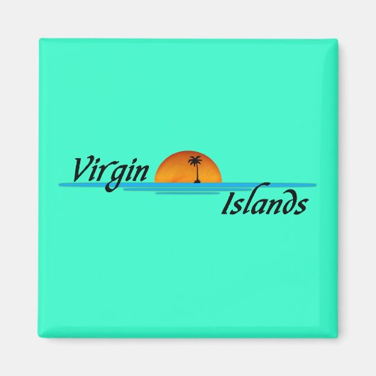 ヴァージン諸島磁石 マグネット (正面)