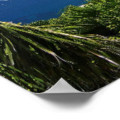 ヴァージン諸島 ポスター (角)