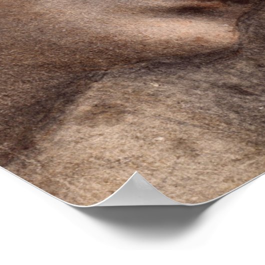 ヴァージン頭 ポスター (角)