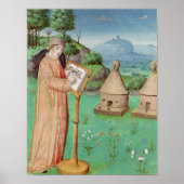 ヴァージ書ルの蜂の生涯 ポスター (正面)