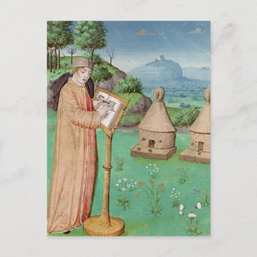 ヴァージ書ルの蜂の生涯 ポストカード (正面)