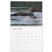 ヴァーモントの野性生物 カレンダー (2月 2026)