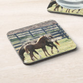 ヴァーモント、米国 コースター (左側)