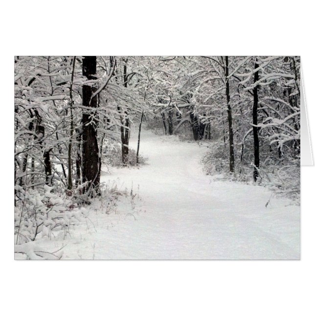 ヴァーモントILのSnowcrusted分野 (正面横)