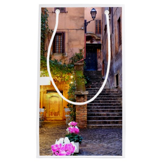 ヴィアディサンシモーネ スモールペーパーバッグ (正面)