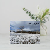 ヴィエナ – アウストリア 箔シーズンポストカード (立ち正面)