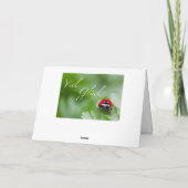 ヴィエル·グリュック-コロナ·ゼイテンのベゾンダー！ カード (裏面)