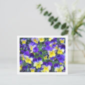 ヴィオラコルヌタ ポストカード (スタンド正面)