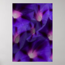 ヴィオラスカイ