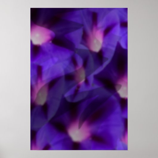 ヴィオラスカイ ポスター (正面)