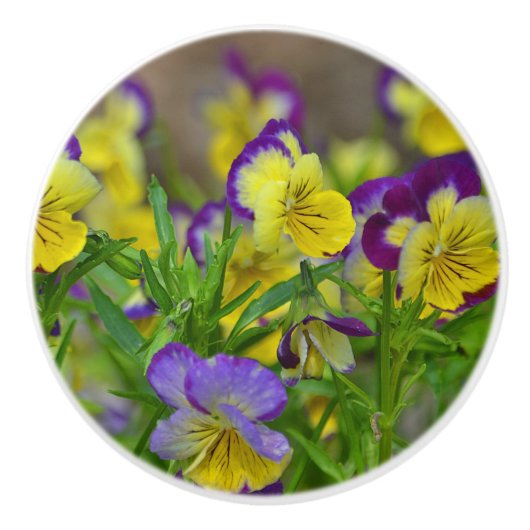 ヴィオラセラミックノブ セラミックノブ (正面)