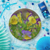 ヴィオラ紙プレート ペーパープレート (パーティー)