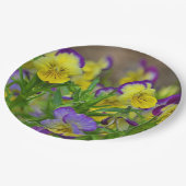 ヴィオラ紙プレート ペーパープレート (アングル)