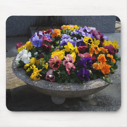 ヴィオラ・ウィトトロキアナ マウスパッド (正面)