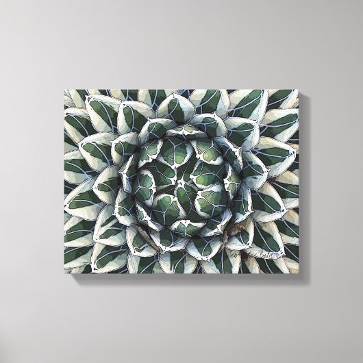 ヴィクトリア女王アガベ,変容 キャンバスプリント (正面)