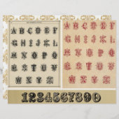 ヴィクトリア時代の古書から採取した本物のヴィンテージアルファベット (正面/裏面)