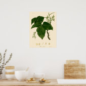 ヴィクトリア時代の古風な毒ツタの植物画 ポスター (キッチン)