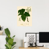 ヴィクトリア時代の古風な毒ツタの植物画 ポスター (ホームオフィス)