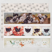 ヴィクトリア時代の子猫3列 (正面/裏面)
