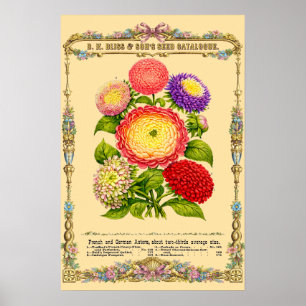 ヴィクトリア時代の花の植物画 ポスター
