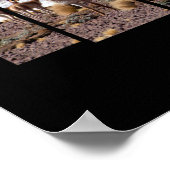 ヴィクーニャグアナコ恋人 – トラベルアドベンチャー引用文 ポスター (角)