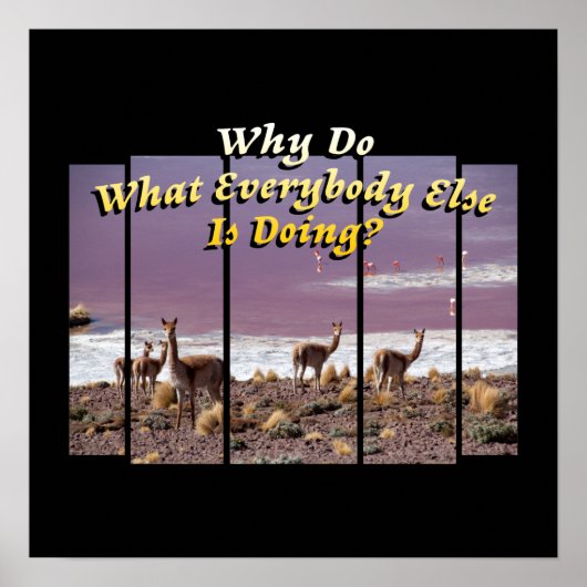 ヴィクーニャグアナコ恋人 – トラベルアドベンチャー引用文 ポスター (正面)