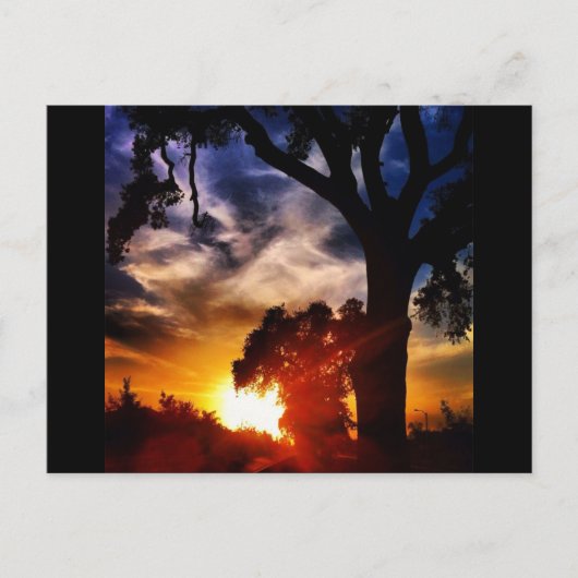 ヴィサリアの夕焼け ポストカード (正面)